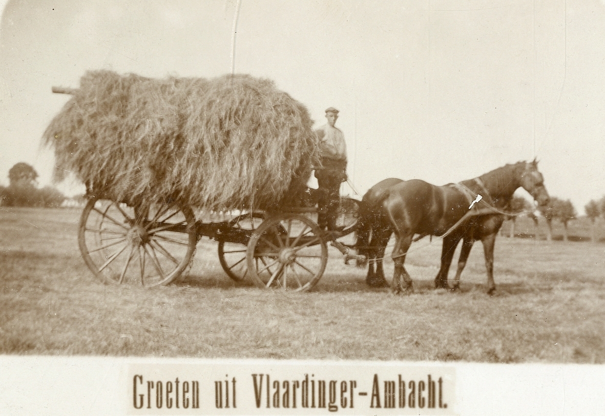 Een hooiwagen met op de bok boer Cornelis van der Kooy (ongedateerd, circa 1925). Collectie Stadsarchief Vlaardingen, P2520.
